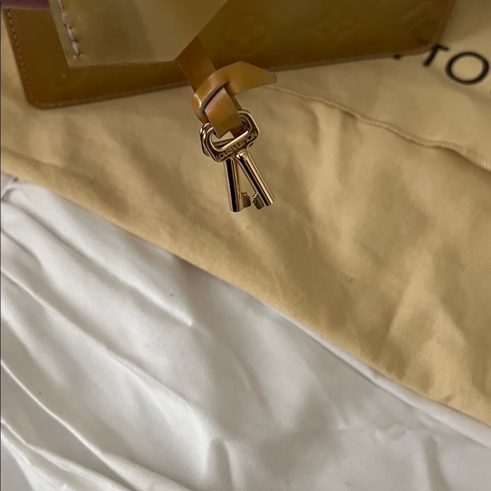 Louis Vuitton Gold Mini Bag - Picture 6 of 14